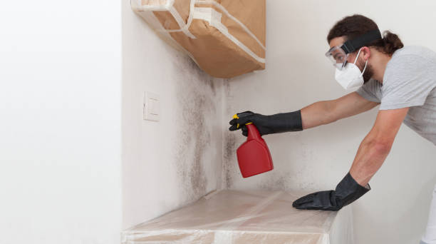 Professional Basement Mold Remediation technician working in Cedarville, MI